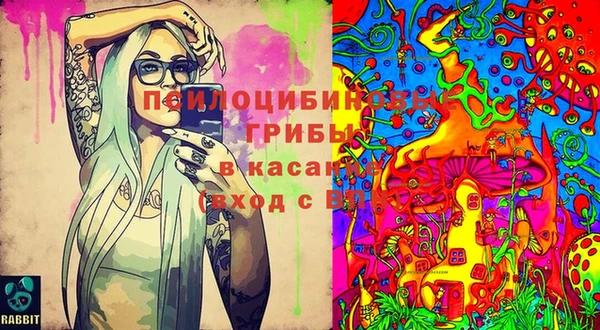 мет Белокуриха