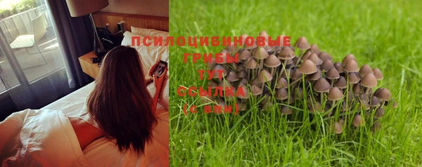 мет Белокуриха