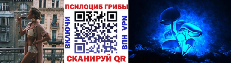 Псилоцибиновые грибы мицелий  Купить  Морозовск 